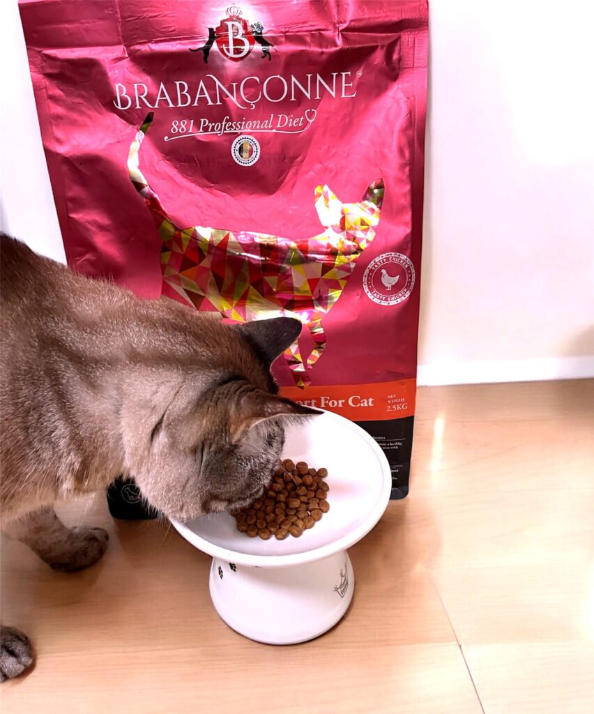 ブラバンソンヌを食べる猫